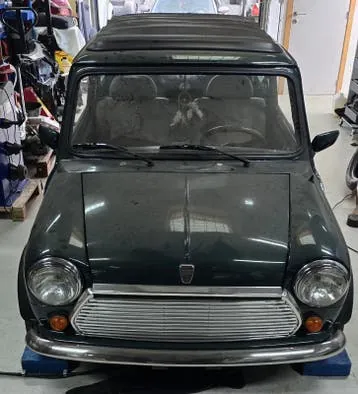 Rover Mini