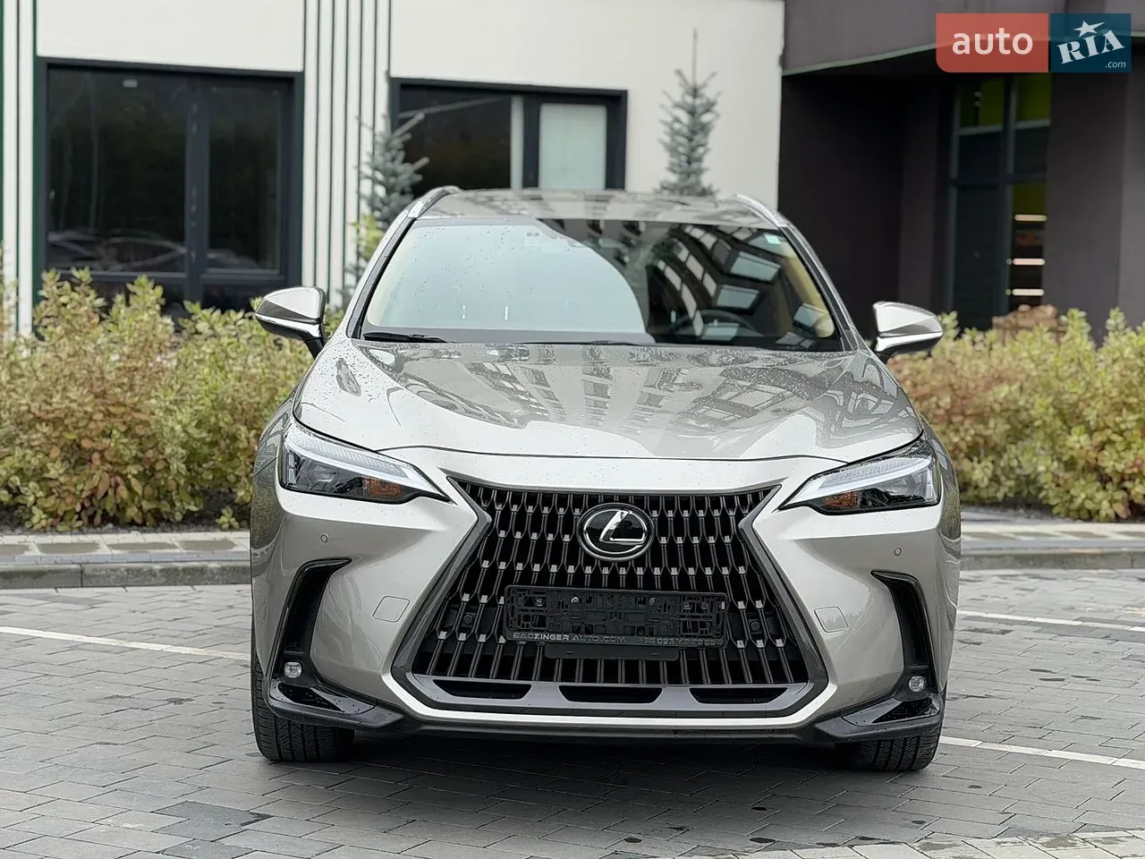 Lexus Nx 2024 photo 2