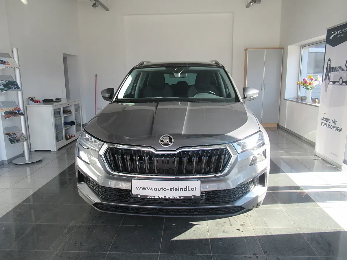 Skoda Karoq 2026 photo 2