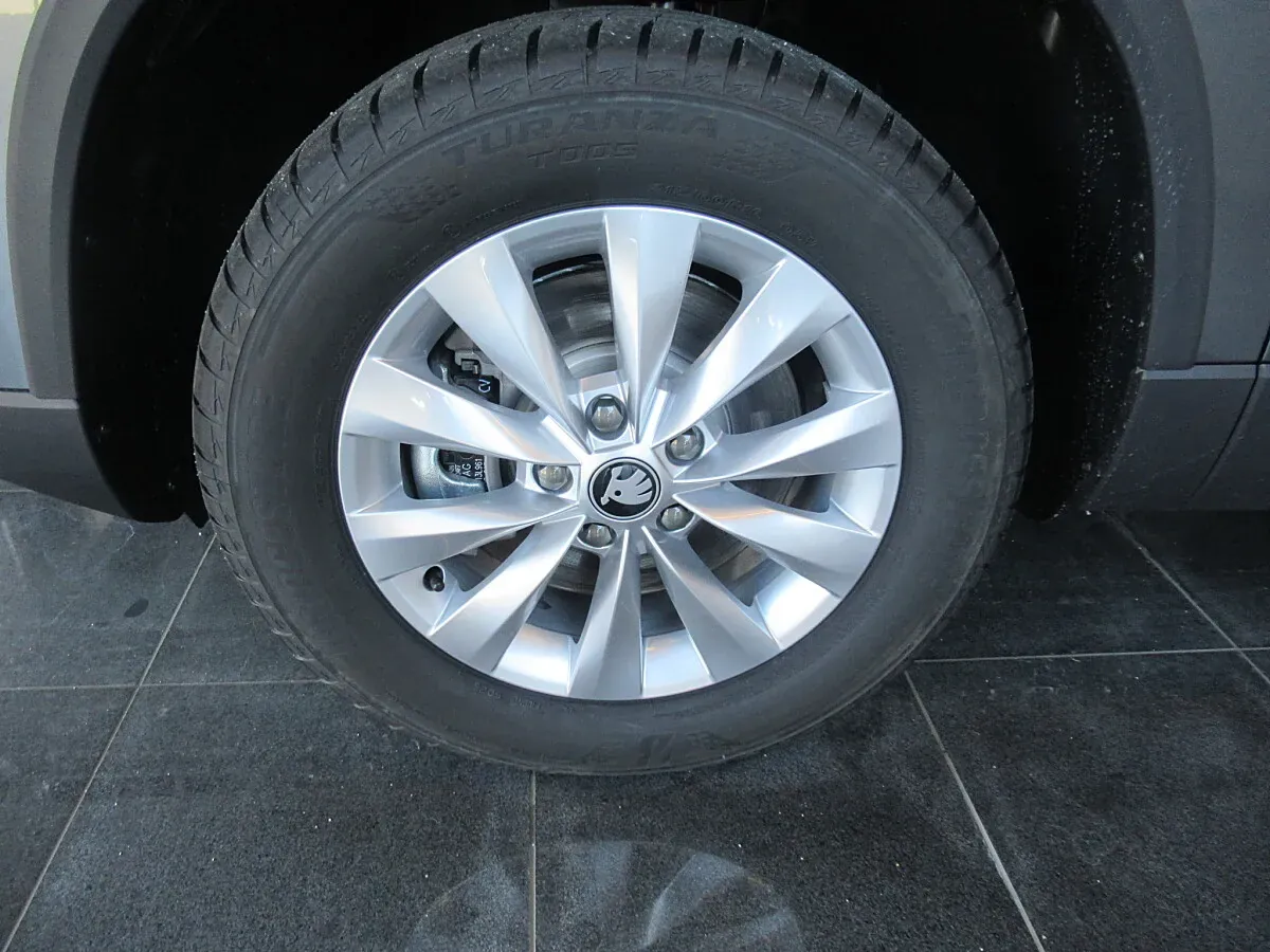 Skoda Karoq 2026 photo 3