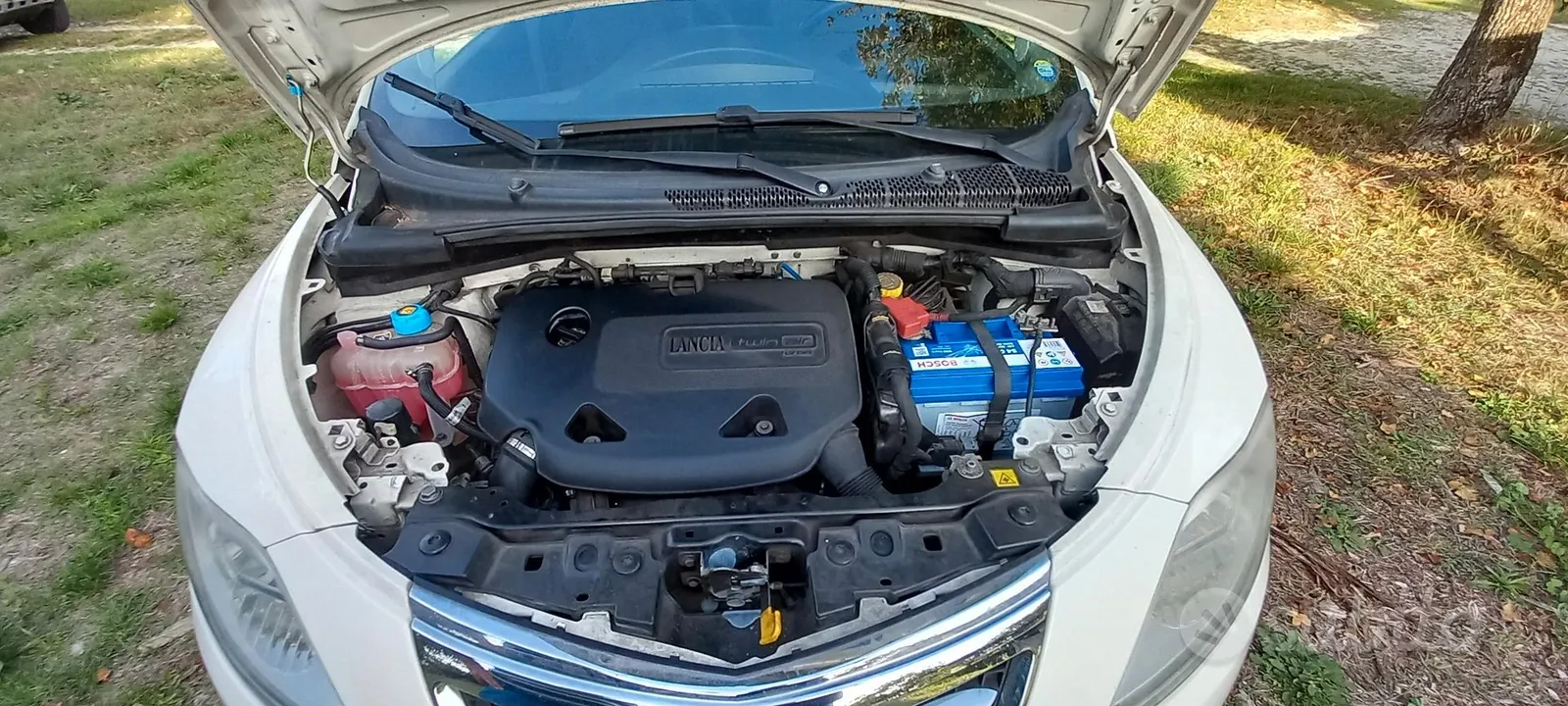 Lancia Ypsilon 2013 photo 3