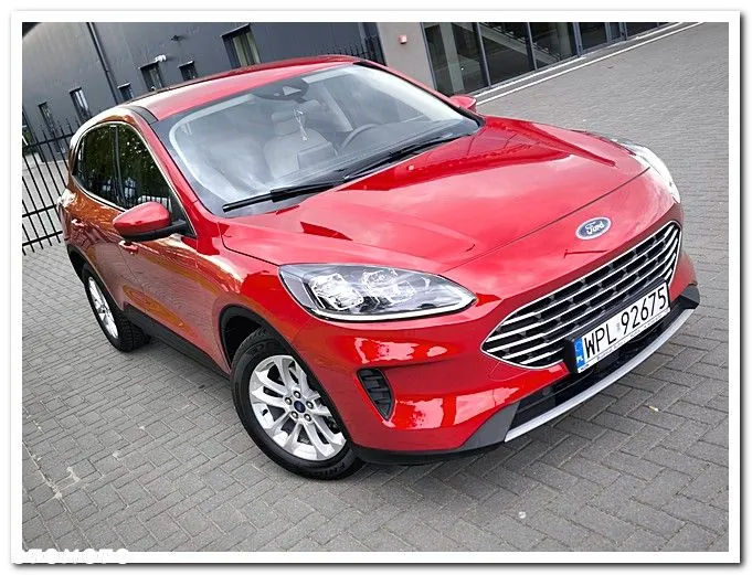Ford Escape 2020 photo 5