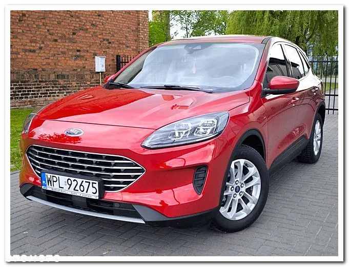 Ford Escape 2020 photo 3