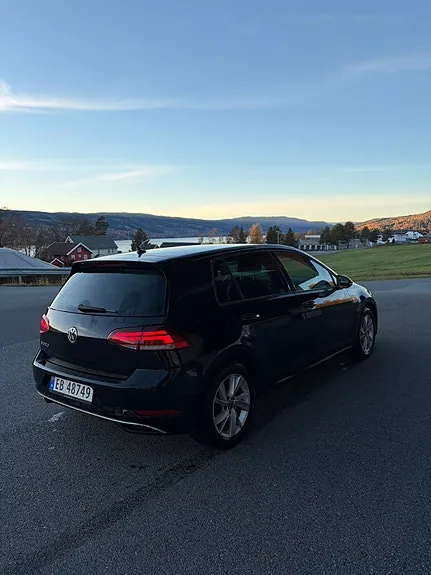 Volkswagen E-Golf Vii 2020 photo 5