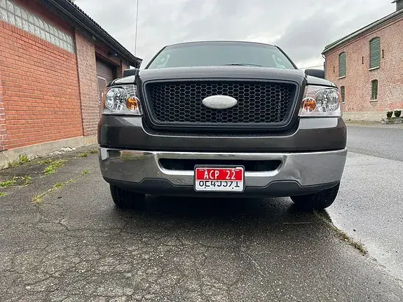 Ford F-150 2006 photo 3