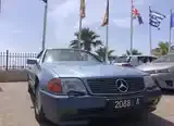 Mercedes-Benz Sl-Class 1991 photo 2