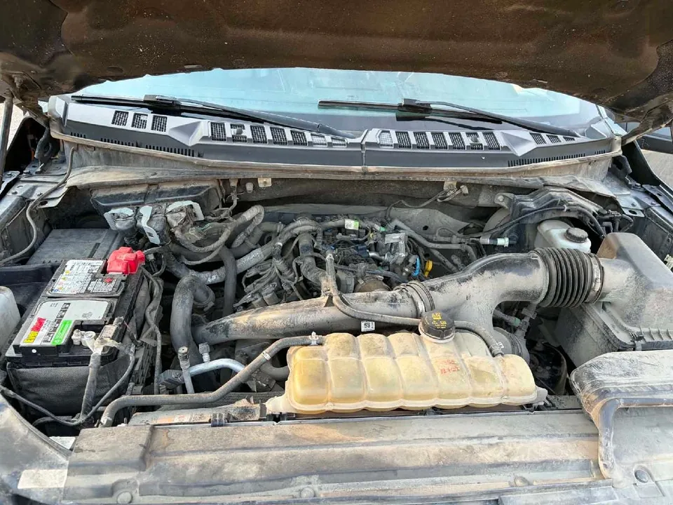 Ford F150 2019 photo 3