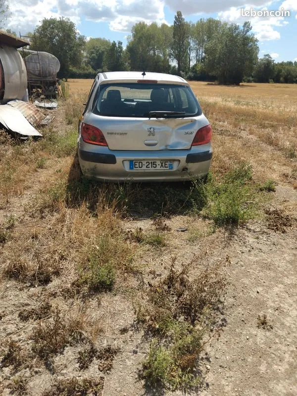 Peugeot 307 2003 photo 3