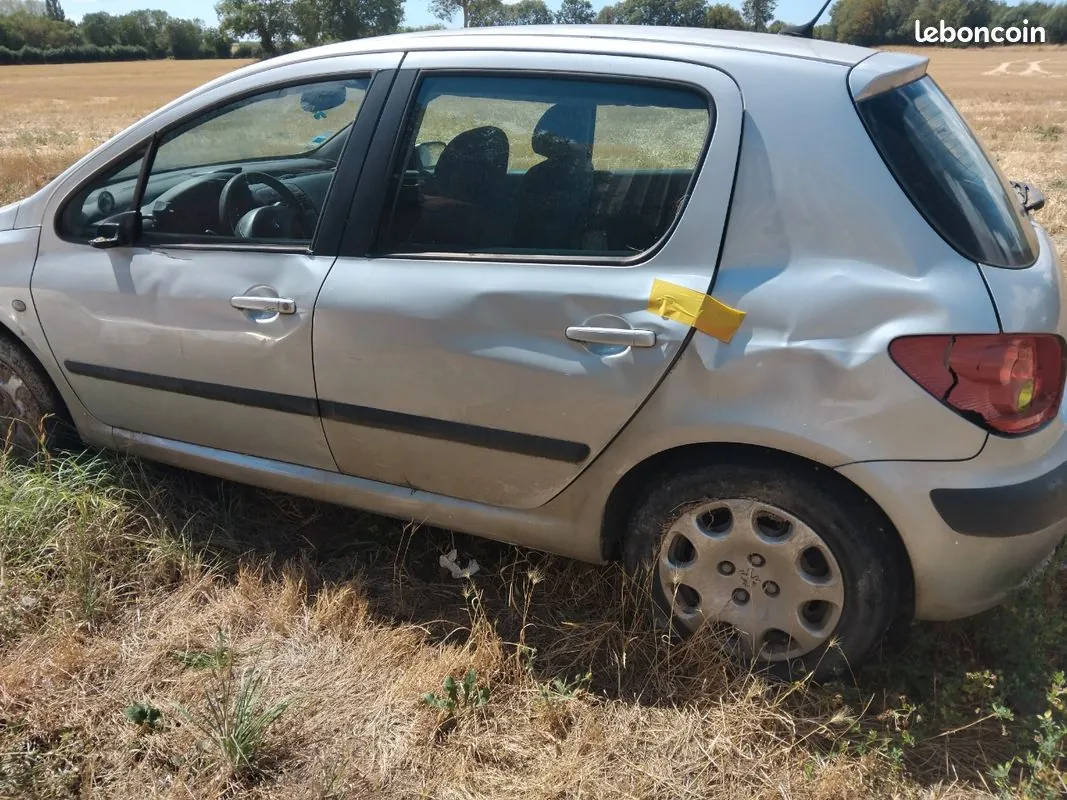 Peugeot 307 2003 photo 2