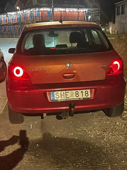 Peugeot 307 2007 photo 2