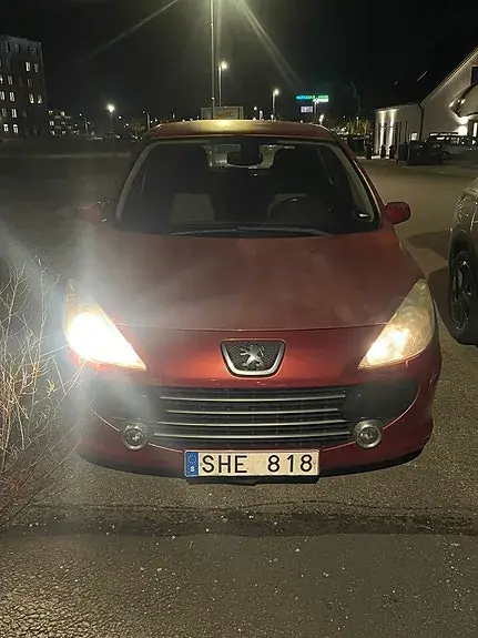 Peugeot 307 2007 photo 5