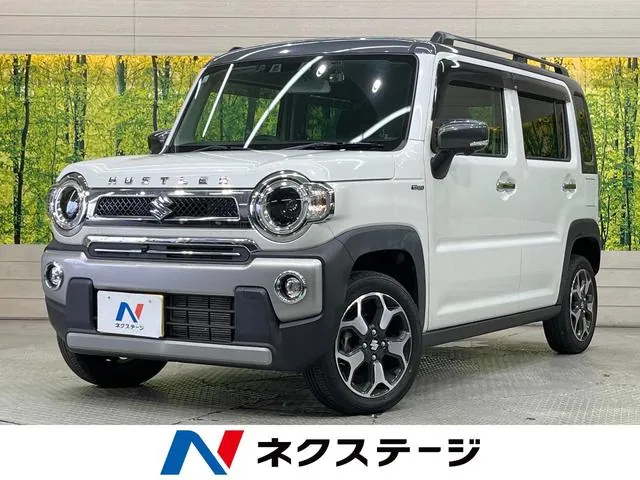 Suzuki Hausa