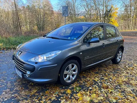 Peugeot 307 2006 photo 5