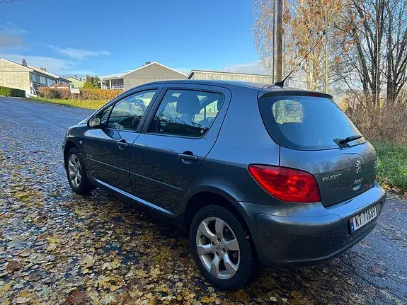 Peugeot 307 2006 photo 2