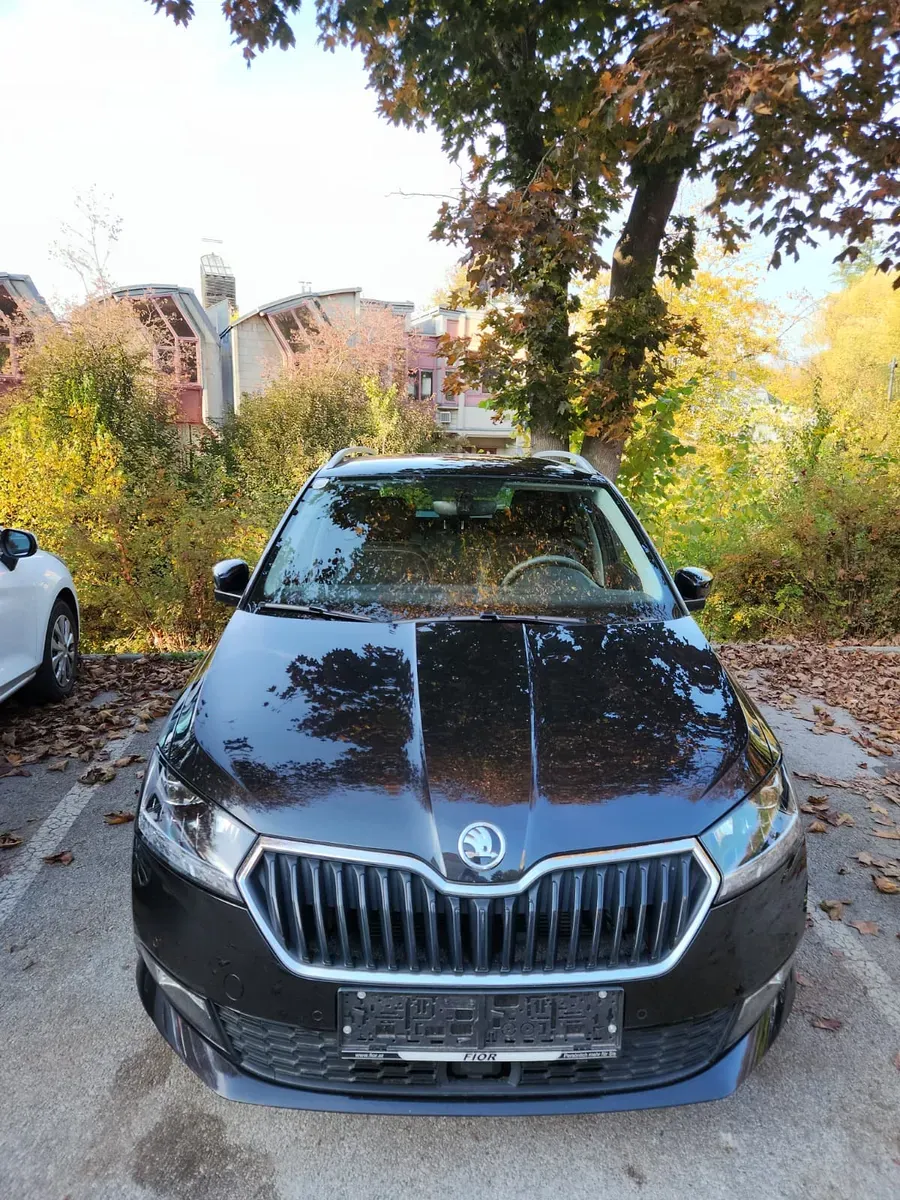 Skoda Fabia 2019 photo 2