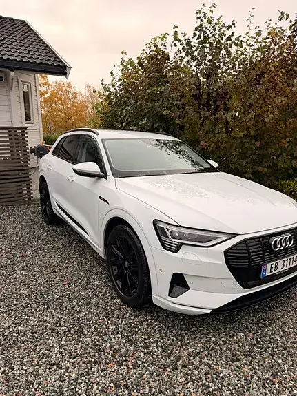 Audi E-Tron 2020 photo 4