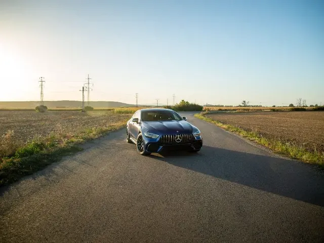 Mercedes-Benz Amg Gt 2019 photo 2