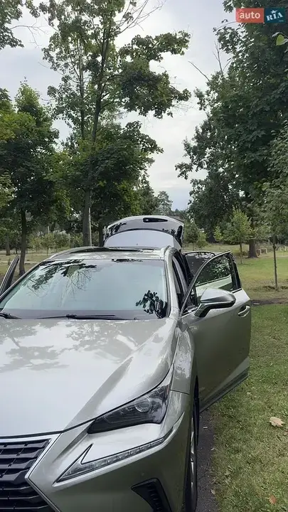 Lexus Nx 2019 photo 2