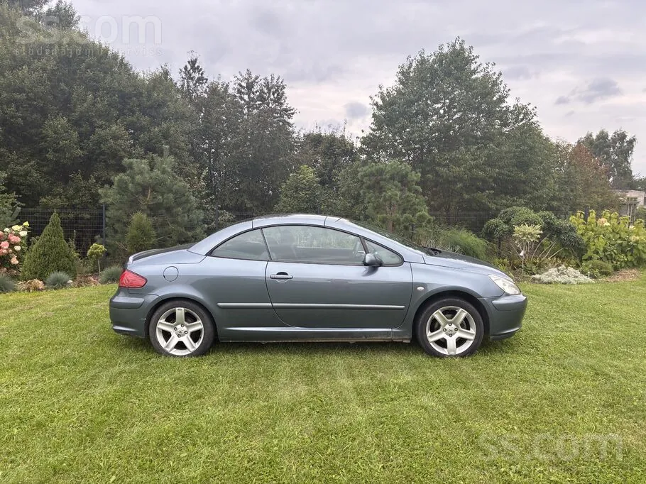 Peugeot 307 2006 photo 3