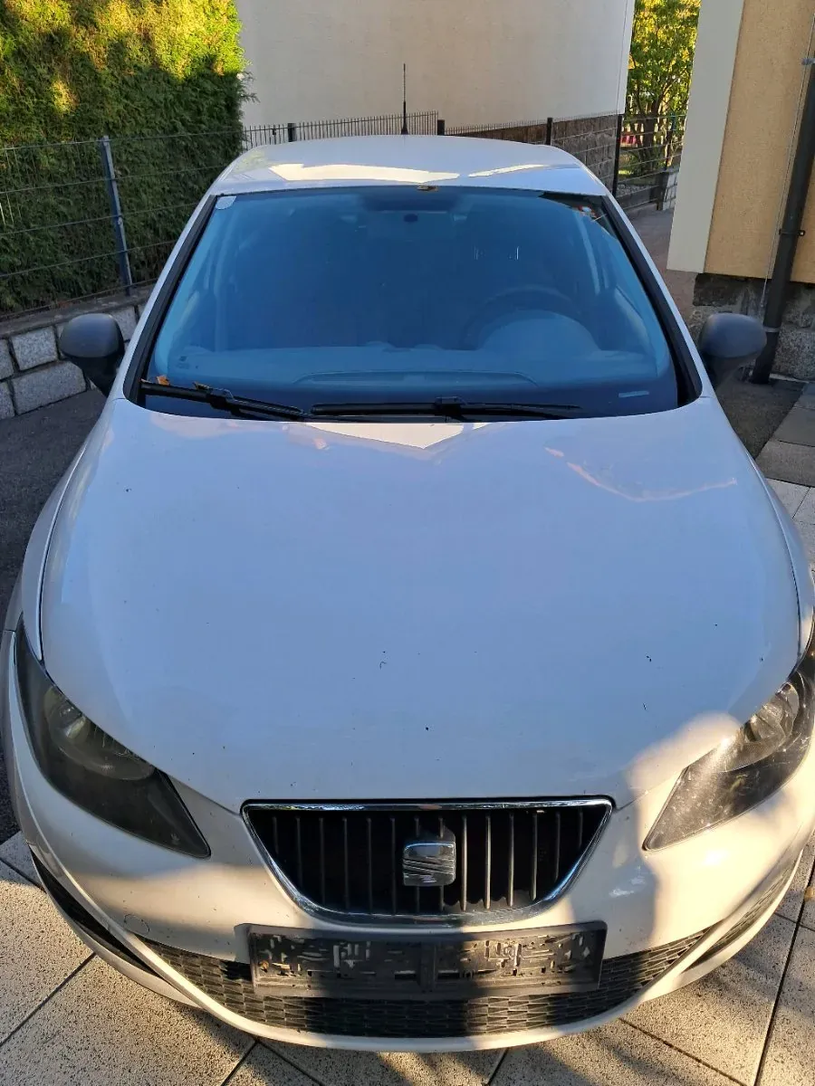 Seat Ibiza 2010 photo 2