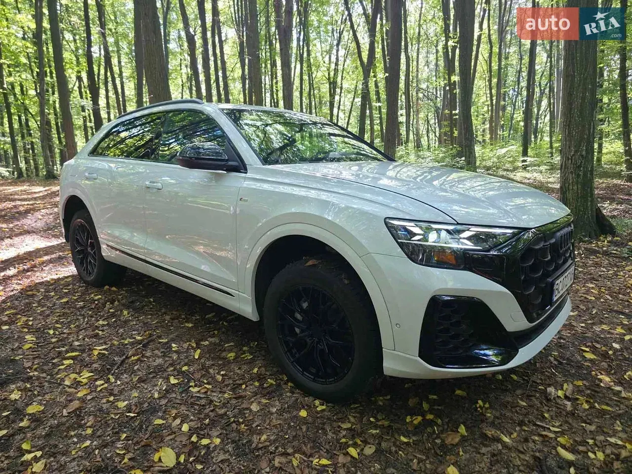 Audi Q8