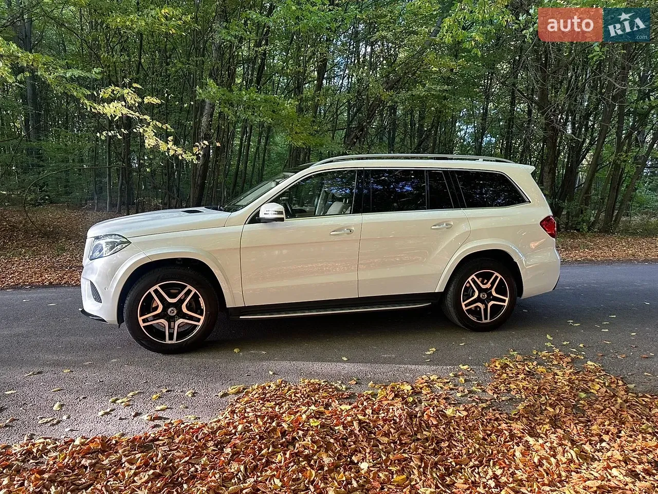Mercedes-Benz Gls-Class 2017 photo 4