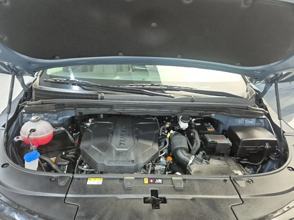Kia Carnival 2024 photo 5