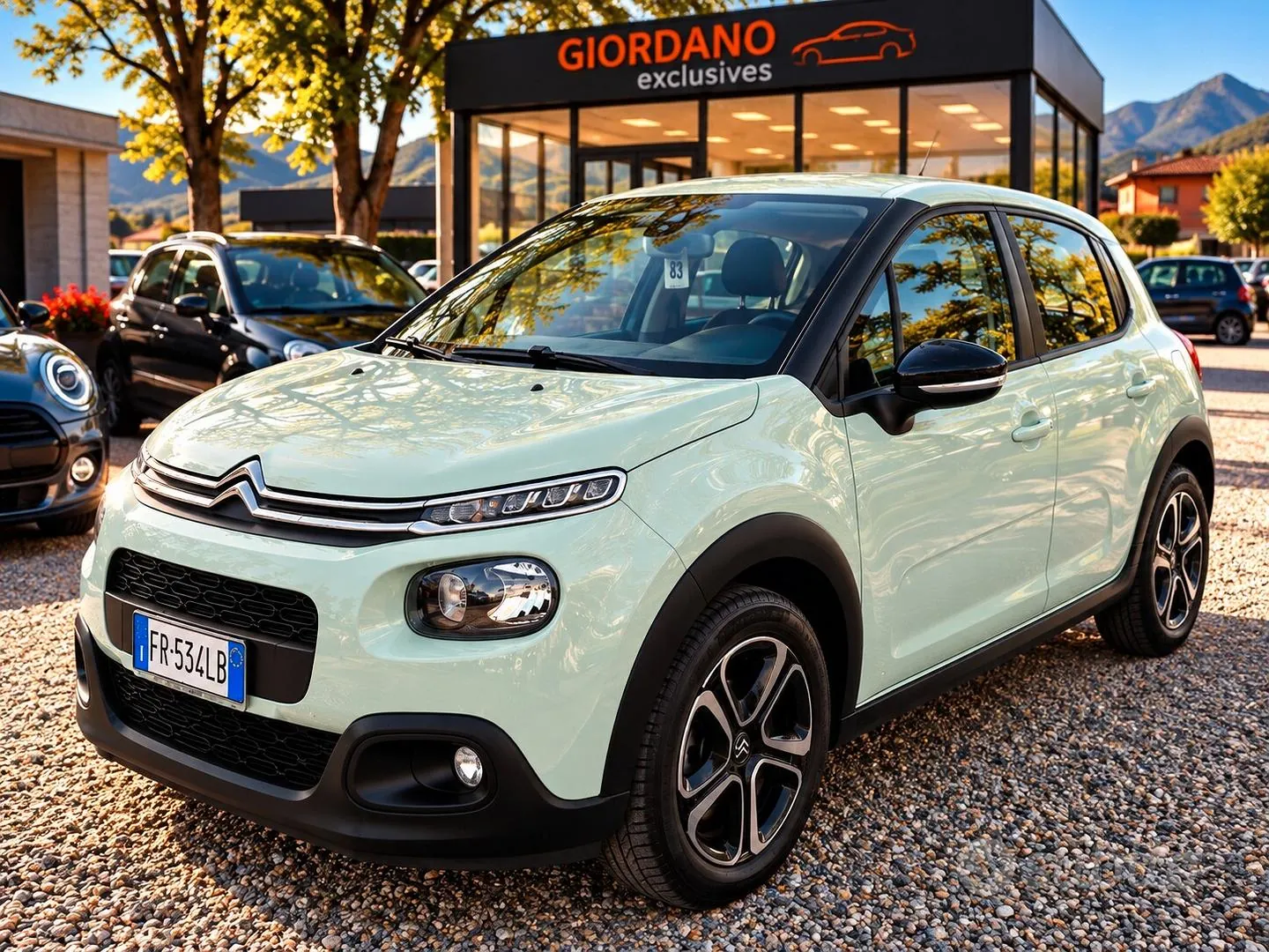 Citroen C3