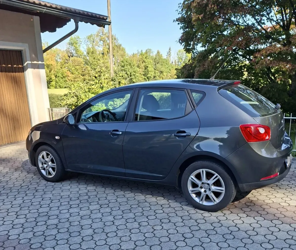Seat Ibiza 2008 photo 2
