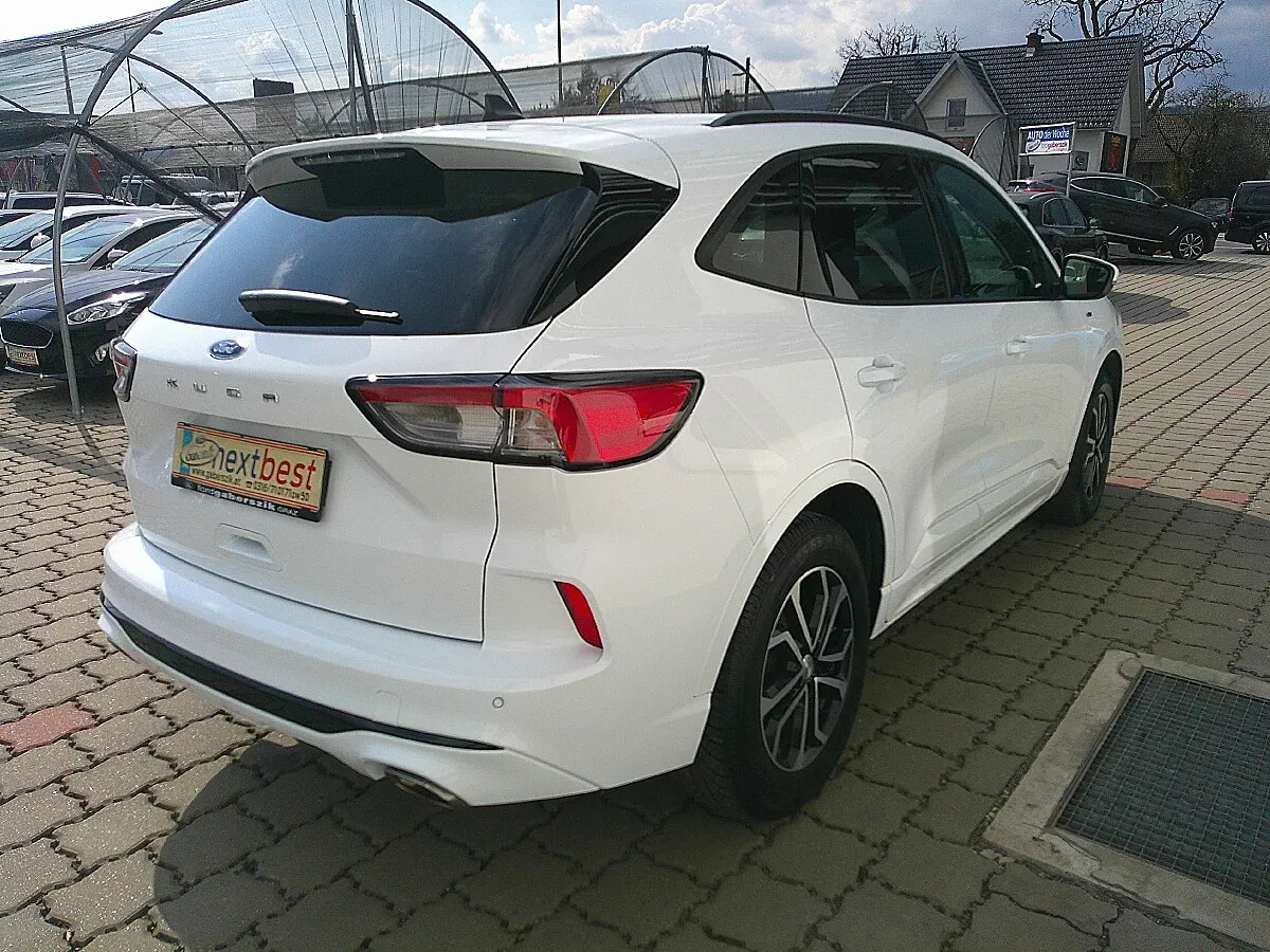 Ford Kuga 2020 photo 3