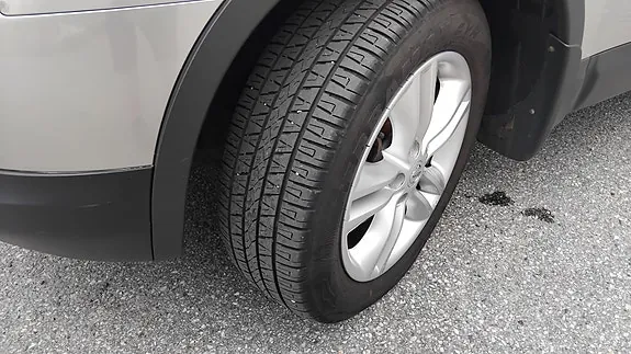 Nissan Qashqai+2 2009 photo 5