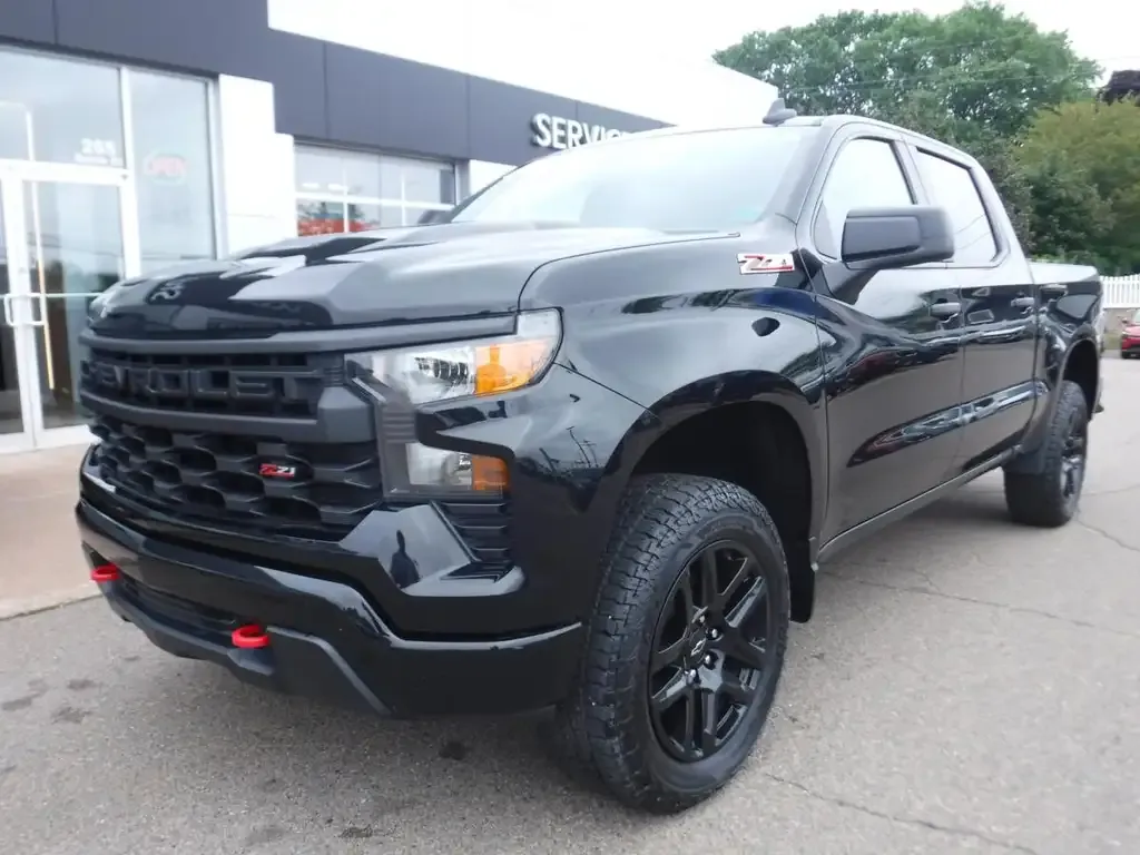 Chevrolet Silverado 1500 2022 photo 2