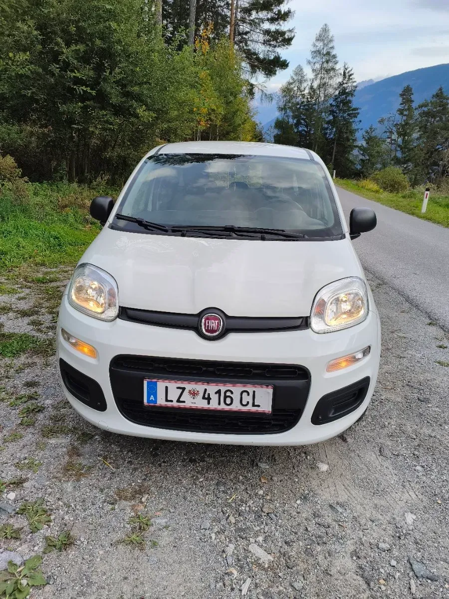 Fiat Panda 2019 photo 2