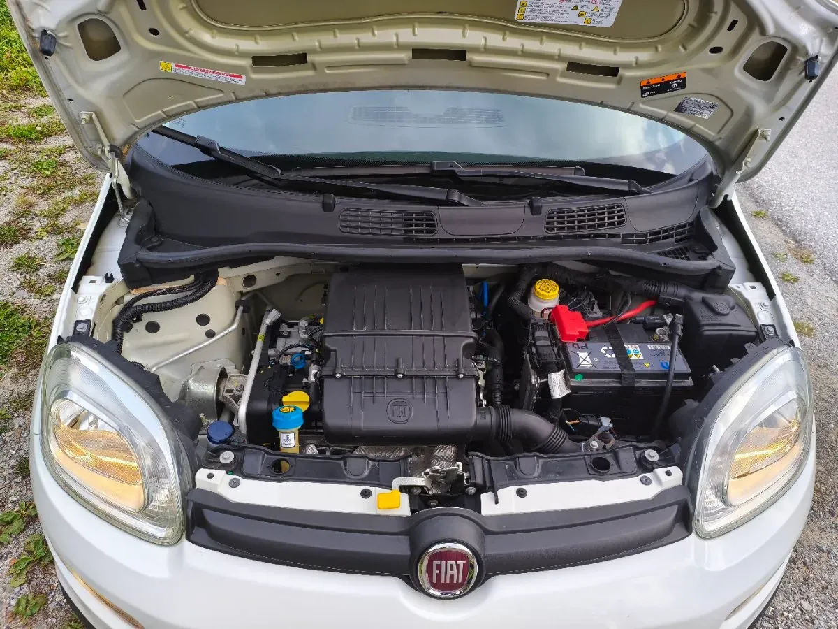 Fiat Panda 2019 photo 3
