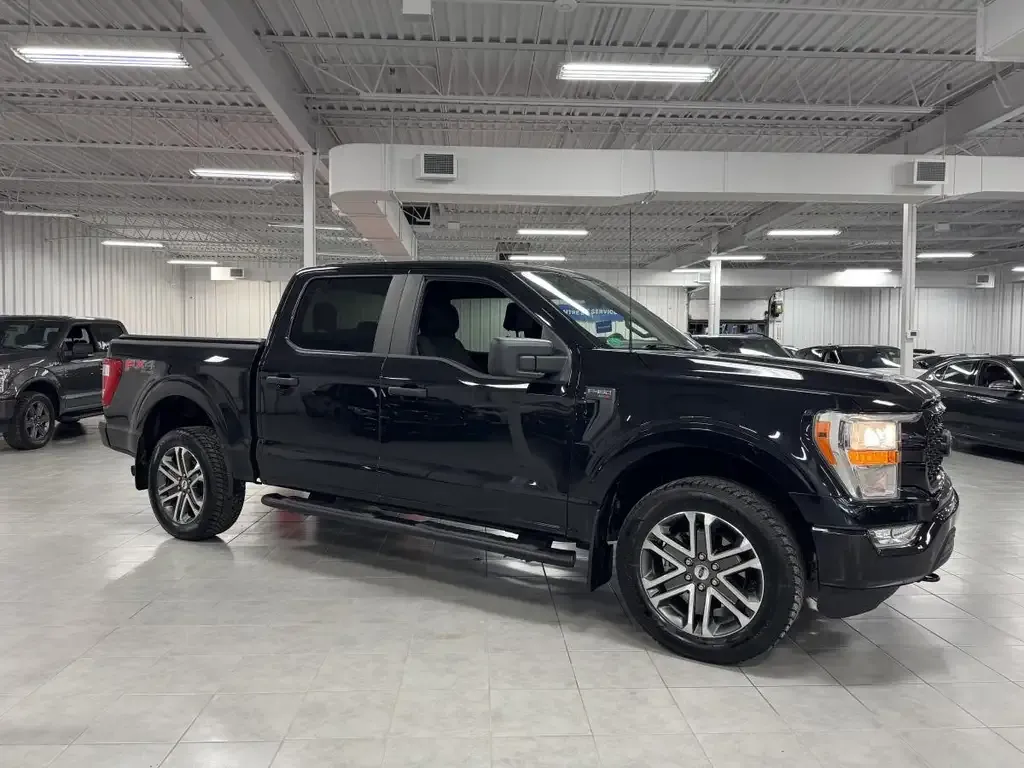 Ford F-150 2022 photo 4