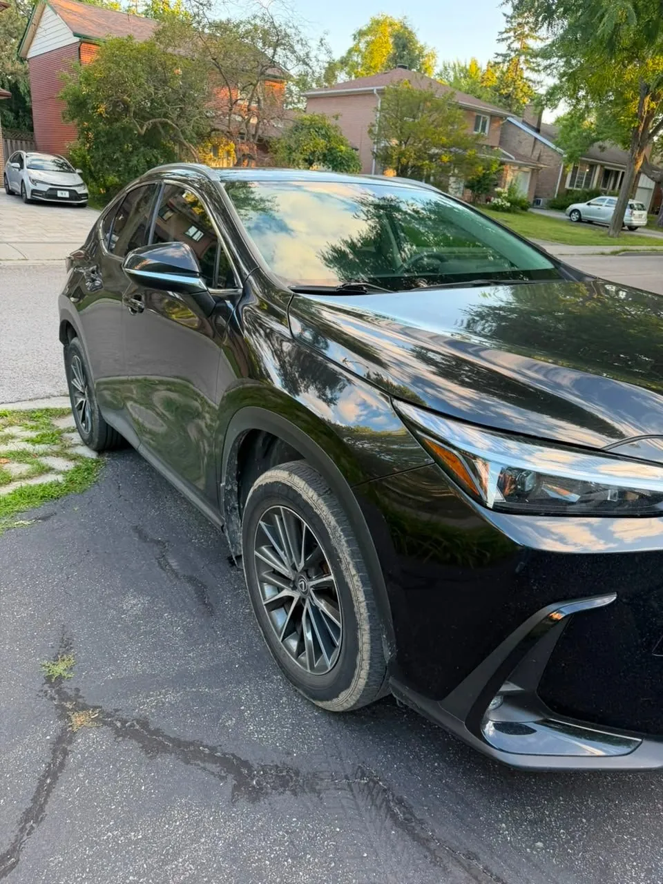 Lexus Nx 250 2025 photo 3