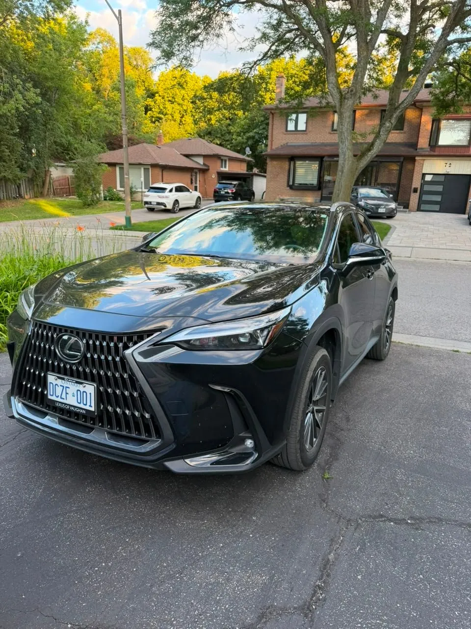 Lexus Nx 250 2025 photo 2