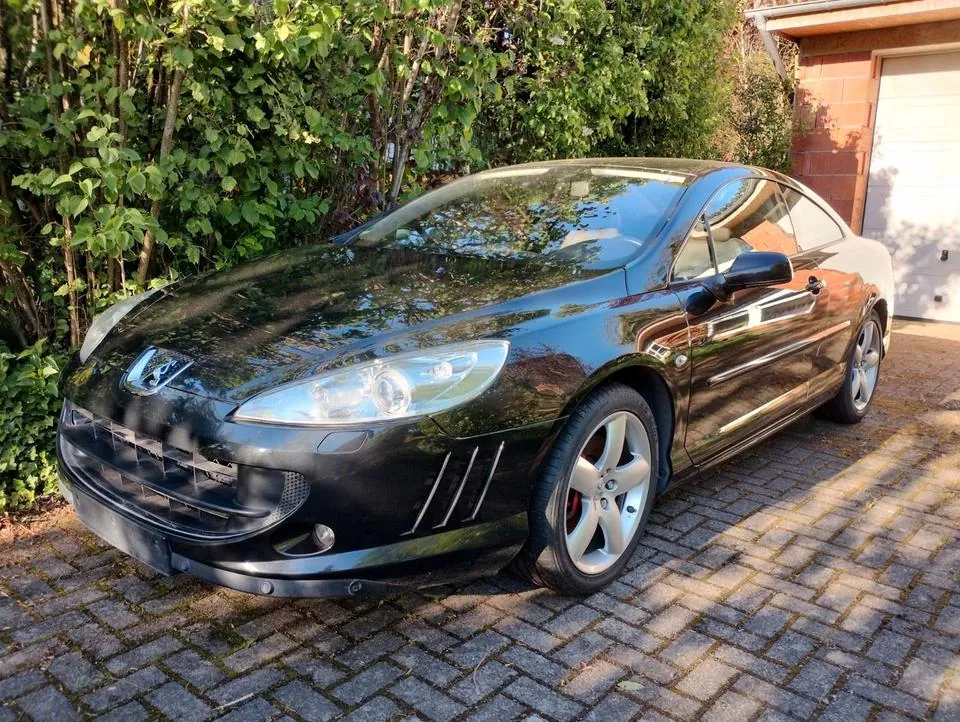 Peugeot 407