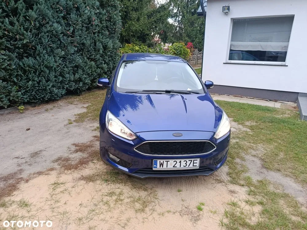 Ford Focus 2015 photo 2