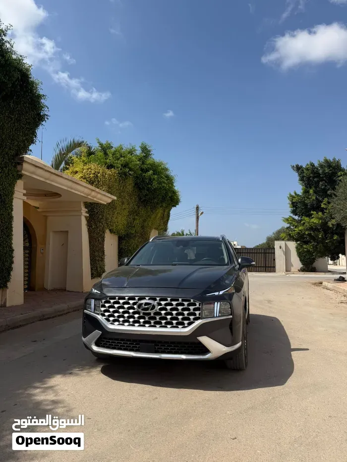 Hyundai Santa Fe 2023 photo 3