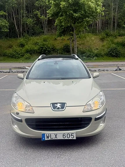Peugeot 407 2005 photo 3