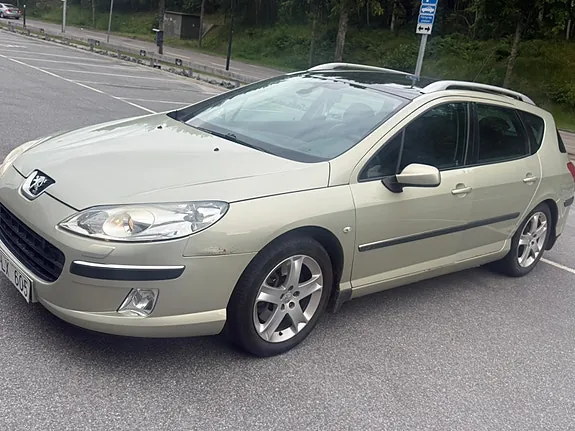 Peugeot 407 2005 photo 4
