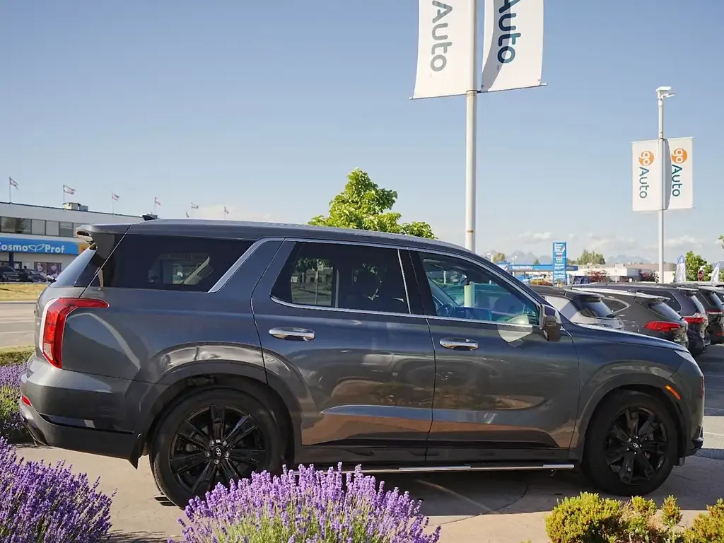 Hyundai Palisade 2023 photo 5