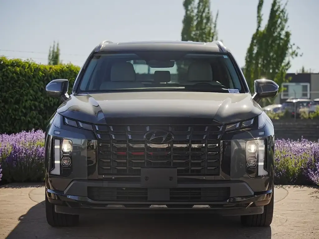 Hyundai Palisade 2023 photo 3