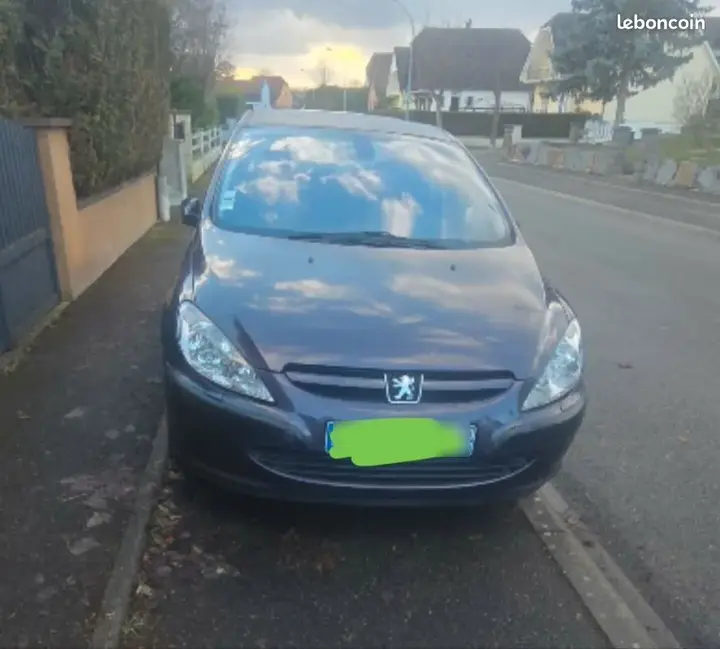 Peugeot 307 2001 photo 2