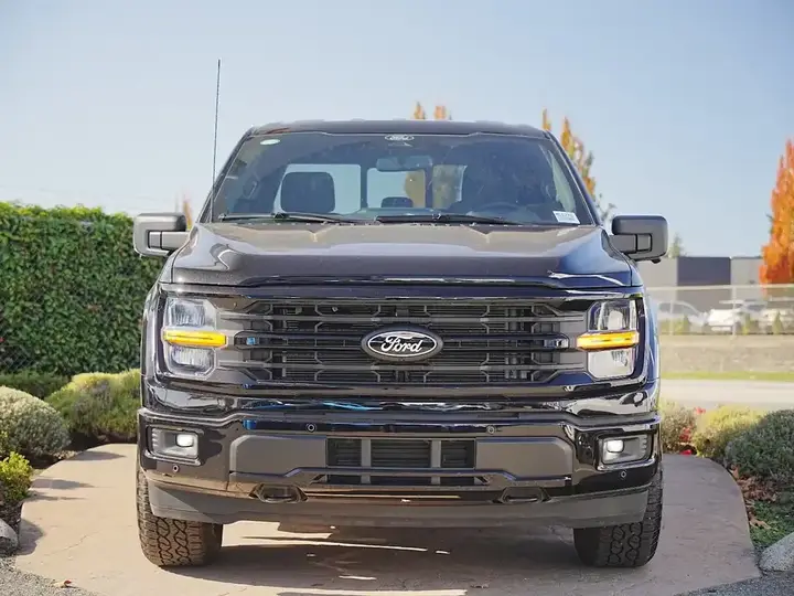 Ford F-150 2025 photo 3