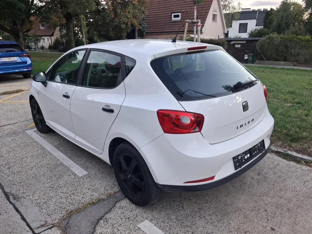 Seat Ibiza 2010 photo 3