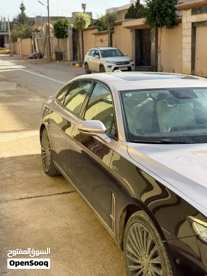 Hongqi H9