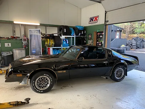 Pontiac Firebird 1977 photo 5