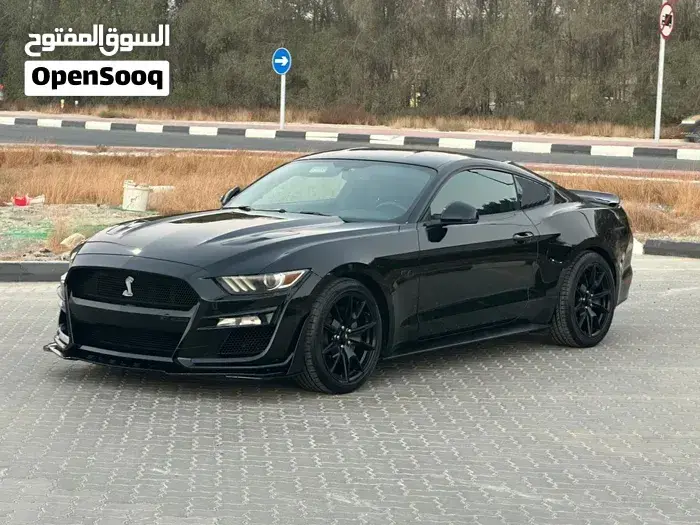 Ford Mustang Gt 2017 photo 3